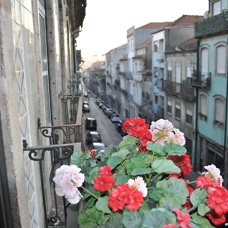 Down Town Appartement *